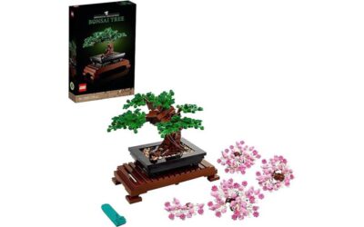 LEGO 10281 Bonsai Tree Set Review: Relaxing and Creative